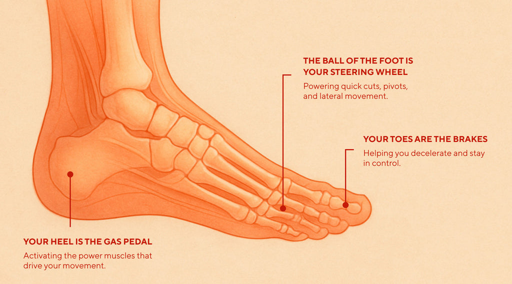 Your Foot Is a Car. Here’s What That Means for Performance.