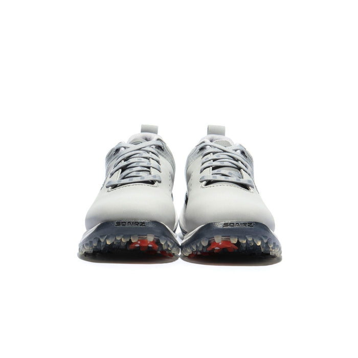 Gray & Silver