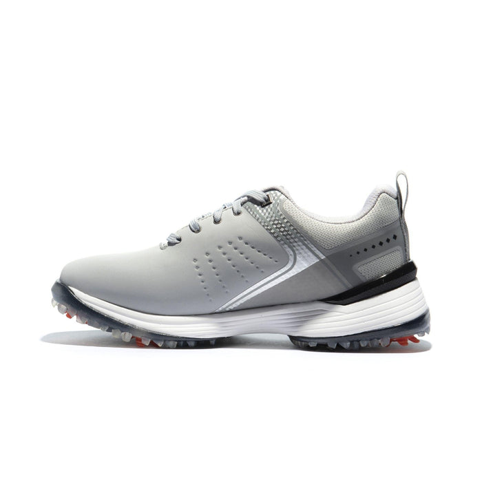 Gray & Silver